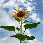 Nancy Allbee - @njallbee - Instagram