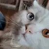 @nnnnn2003 - @nancyalielbehairy - TikTok