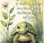 Nancy Allgeier - Facebook