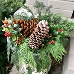 Nancy Allman - @fancynancy_scapes - Instagram