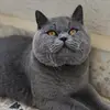 Nancy Alloush - @nancy.alloush - TikTok