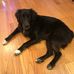 Nancy Norfleet Allshouse - Facebook