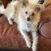 Nancy Almond Lopez - Facebook
