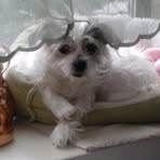 Nancy Althouse - Facebook