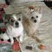 Nancy Althouse - Facebook