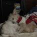 Nancy Althouse - Facebook