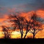 Nancy Amburn - @nancyamburn - Instagram