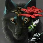 Nancy Ammons - @ammons7629 - Instagram