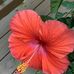 Nancy Anders - Facebook