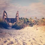 Nancy Anders - @nancyanders70 - Instagram