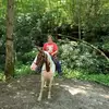 nancyanderton - @nancyanderton - TikTok