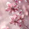 Nancy Ángeles - @nancy.ngeles8 - TikTok