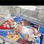 Nancy Angulo - Facebook
