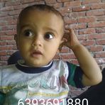 Nan Ansari - Facebook