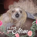Nancy Anselme - Facebook