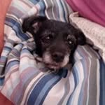Nancy Anselme - @nancyanselme - Instagram
