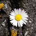 Nancy Anter - Facebook