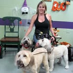 Nancy Antonacci - Facebook