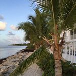 Nancy Peltz - @nancyapeltz - Instagram