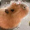 Nancy Araiza - @nancy.araiza0 - TikTok