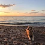 Nancy Archibald MacRae - @nmacrae103 - Instagram