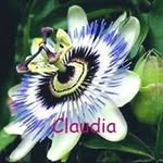 Claudia Nancy Arcos - @claudianancyarcos - Instagram