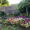 Nancy’s Garden - @nancys.garden - TikTok