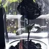 Nancy Arguello - @nancy.arguello65 - TikTok