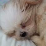 Nancy Arrowsmith - Facebook