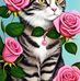 Nancy Arzate - Facebook