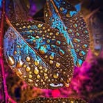 Nancy Ashe - Facebook