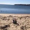 nancyashergoldste - @nancyashergoldste - TikTok