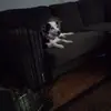 Nancy Ashworth - @nancy.ashworth - TikTok