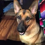 Nancy Ashworth-Adams - @ashworthadams - Instagram