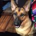 Nancy Ashworth-Adams - Facebook