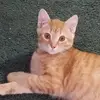nancyashworth626 - @nancyashworth626 - TikTok