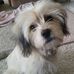 Nancy Athey - Facebook