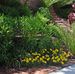 Nancy Athey-Wayble - Facebook