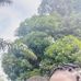 Nancy M Akaater - Facebook