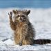 Nancy Aubin - Facebook