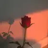 AUDIOŽ - @nancyaudiož - TikTok