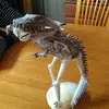 Nancy Auslander - @nancy.auslander - TikTok