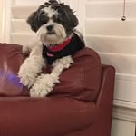 Nancy Auslander - @nancyauslander - Instagram