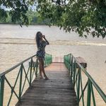 Nancy Babb - @nancybabb59 - Instagram