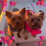 Nancy Babb - @nancylbabb - Instagram