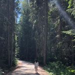 Nancy Babin - @nancybabin7 - Instagram