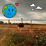 Nancy Baca - @nablujan - Instagram
