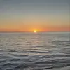 Nancy Bader - @nancy.bader - TikTok