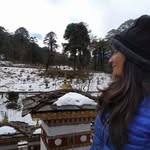 Nancy Bahre - @bahrenancy - Instagram