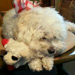 Nancy Bailey - @nancy.bailey.169 - Instagram